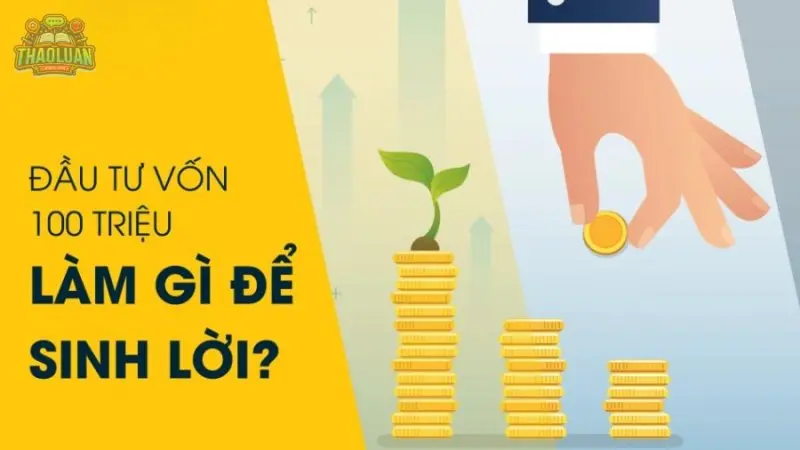 Các lĩnh vực đầu tư tiềm năng và ưu nhược điểm cụ thể