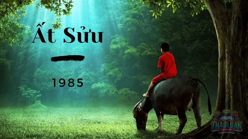 Tổng quan về năm 1985 Tổng quan về năm 1985