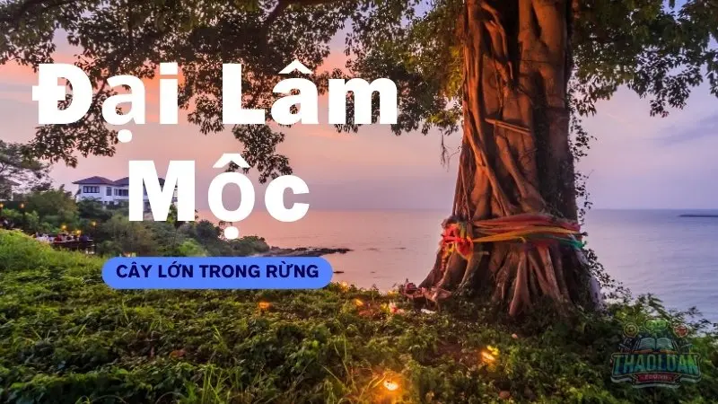 Người sinh năm 1988 mệnh gì? Người sinh năm 1988 mệnh gì?