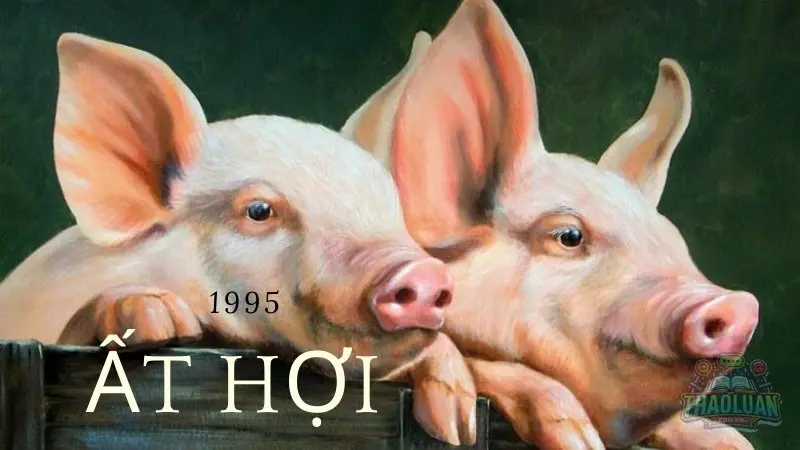 Người sinh năm 1995 mệnh gì? Giải mã vận mệnh, thay đổi cuộc sống 