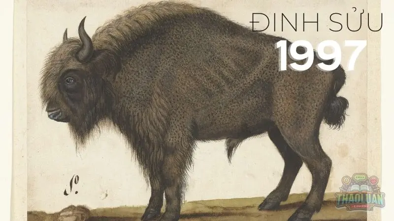 Sinh năm 1997 mệnh gì? Màu sắc hợp mệnh và tuổi hợp cho bạn Sinh năm 1997 mệnh gì? Màu sắc hợp mệnh và tuổi hợp cho bạn