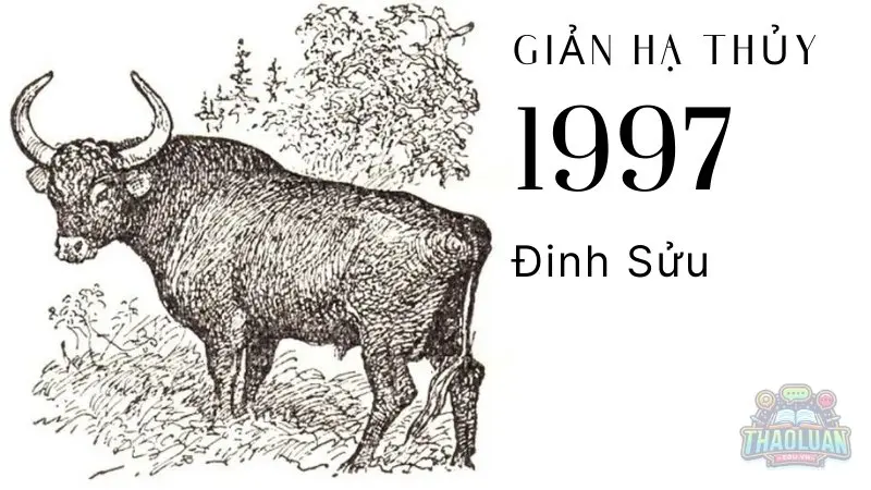 Người sinh năm 1997 thuộc mệnh gì? Người sinh năm 1997 thuộc mệnh gì?