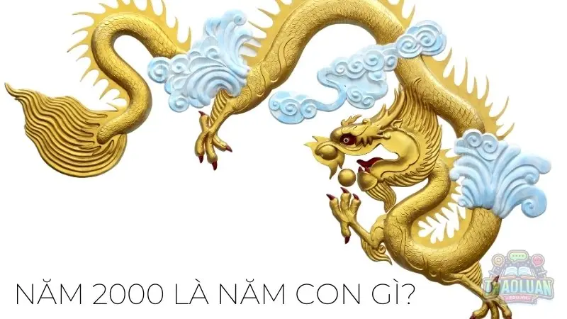 Năm 2000 là năm con gì? Năm 2000 là năm con gì?