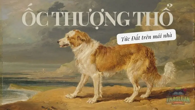 2006 mệnh gì? Lấy tuổi nào thì hợp 