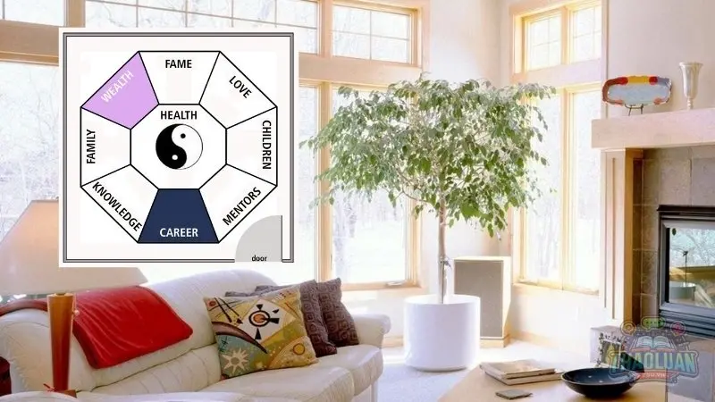 Phong thủy phù hợp cho những người sinh năm 2025 Phong thủy phù hợp cho những người sinh năm 2025