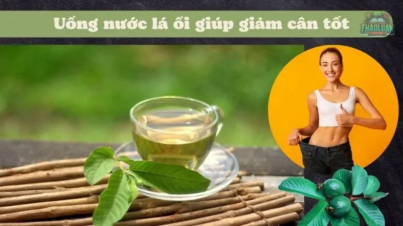 Lưu ý khi sử dụng lá ổi giảm cân 4