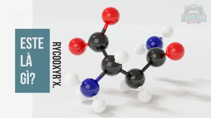 Tính chất vật lý Este 4