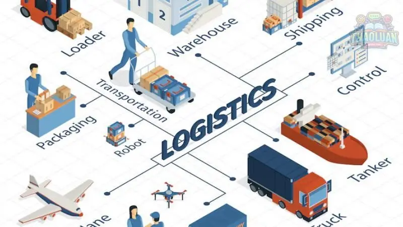Những vị trí phổ biến trong ngành Logistics 3