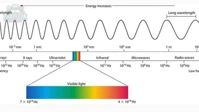 Phân tích các yếu tố cấu thành sóng điện từ 2