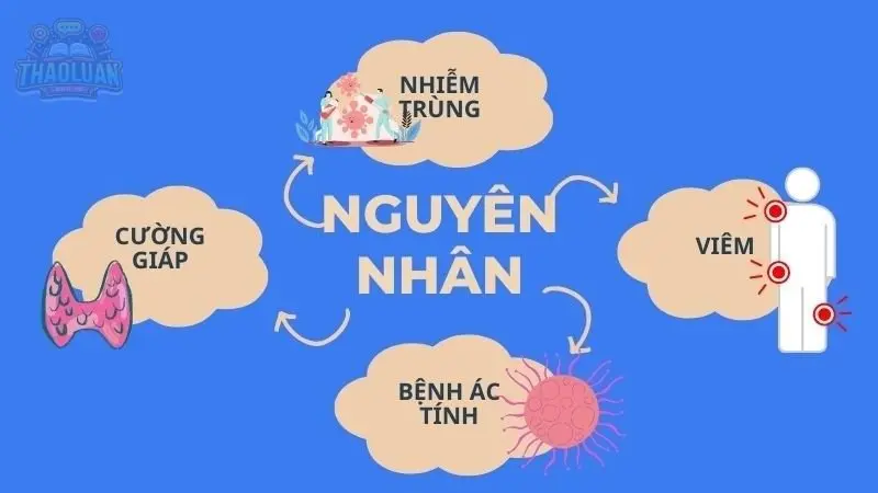 Nguyên nhân gây sốt 2