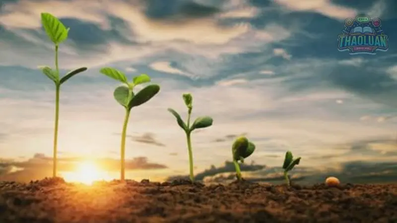 Khái niệm về kinh nghiệm sống 1 Khái niệm về kinh nghiệm sống 1