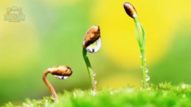 Các nguồn thu thập kinh nghiệm sống 2 Các nguồn thu thập kinh nghiệm sống 2