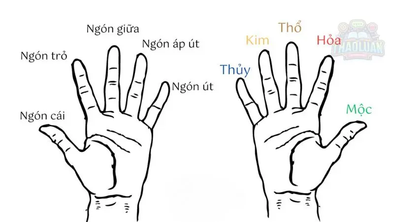 Ý nghĩa đeo nhẫn ở từng ngón tay 5 Ý nghĩa đeo nhẫn ở từng ngón tay 5