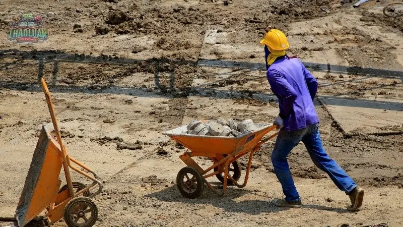 Bảo hiểm lao động là gì?