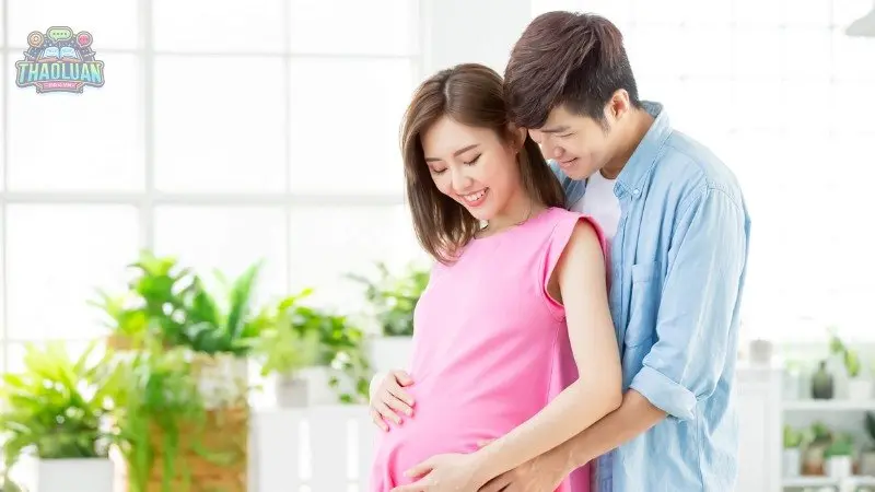 Bảo hiểm thai sản là gì? Bảo hiểm thai sản là gì?