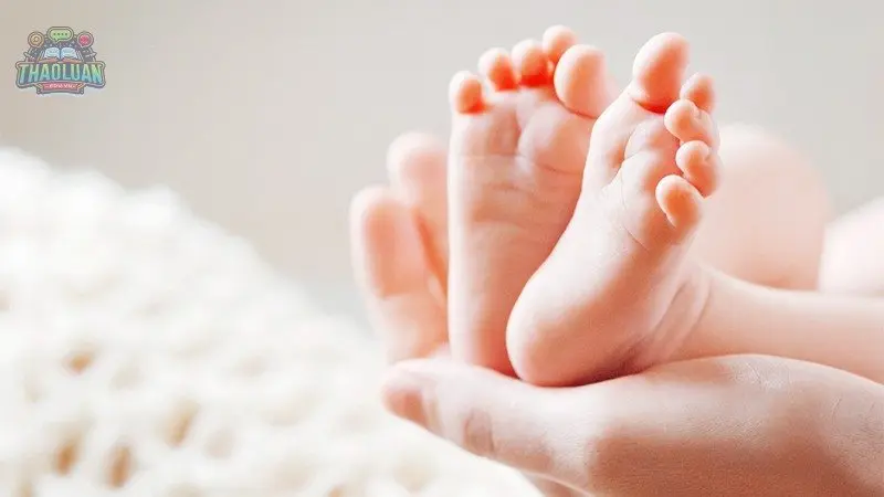 Quy trình tham gia bảo hiểm thai sản Quy trình tham gia bảo hiểm thai sản