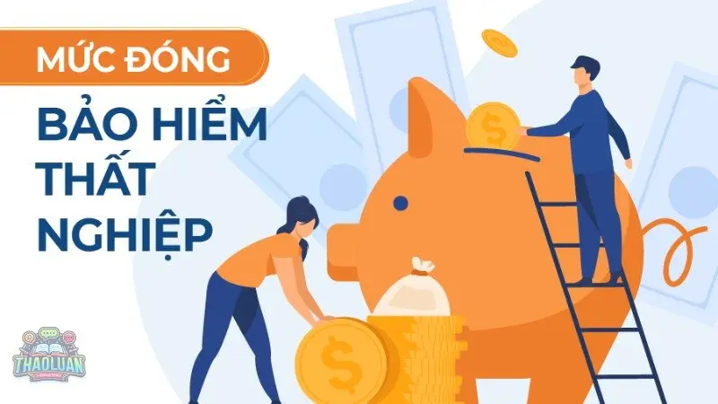 Một số câu hỏi thường gặp về bảo hiểm thất nghiệp 2