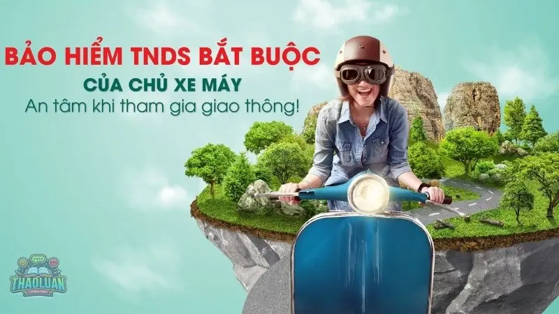 Các điều kiện và điều khoản khi mua bảo hiểm Các điều kiện và điều khoản khi mua bảo hiểm