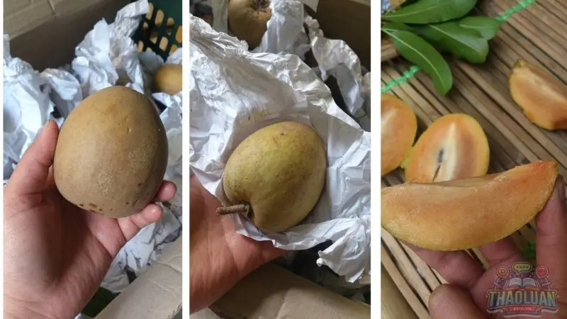 Sử dụng túi giấy