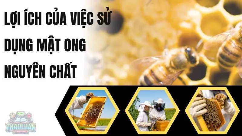 Lợi ích của việc sử dụng mật ong nguyên chất