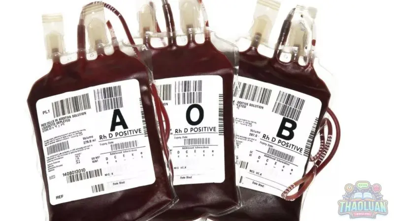 Lợi ích của việc biết nhóm máu