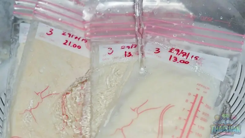 Nguyên nhân sữa mẹ rã đông bị hư