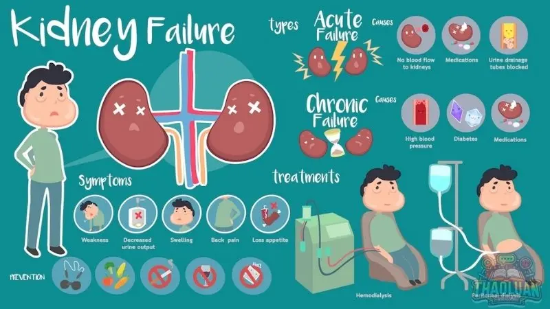Dấu hiệu nhận biết thận khỏe Dấu hiệu nhận biết thận khỏe