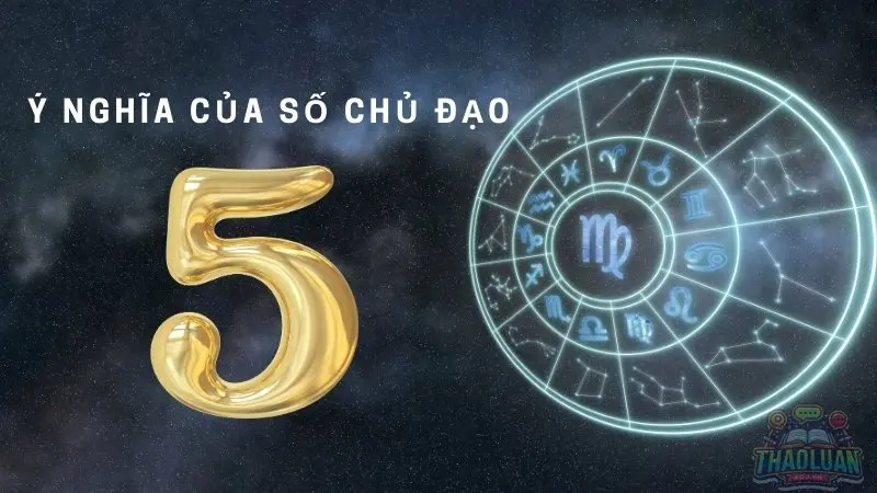 Con số chủ đạo 5 và sự nghiệp - Cách chọn nghề phù hợp cho bạn 