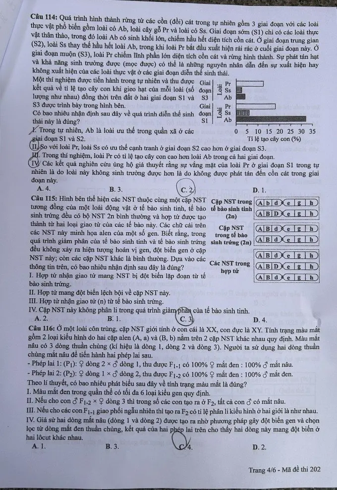 Đề thi THPT Quốc gia môn Sinh học năm 2024 mã đề 202 4