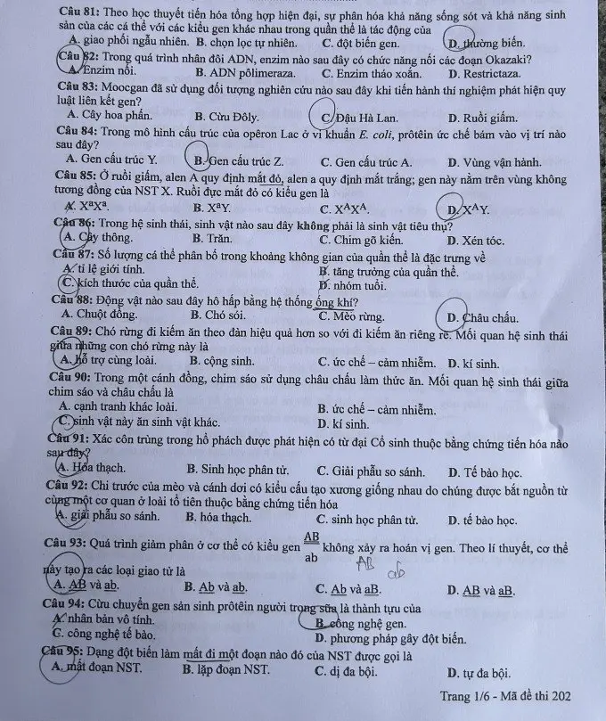 Đề thi THPT Quốc gia môn Sinh học năm 2024 mã đề 202 1