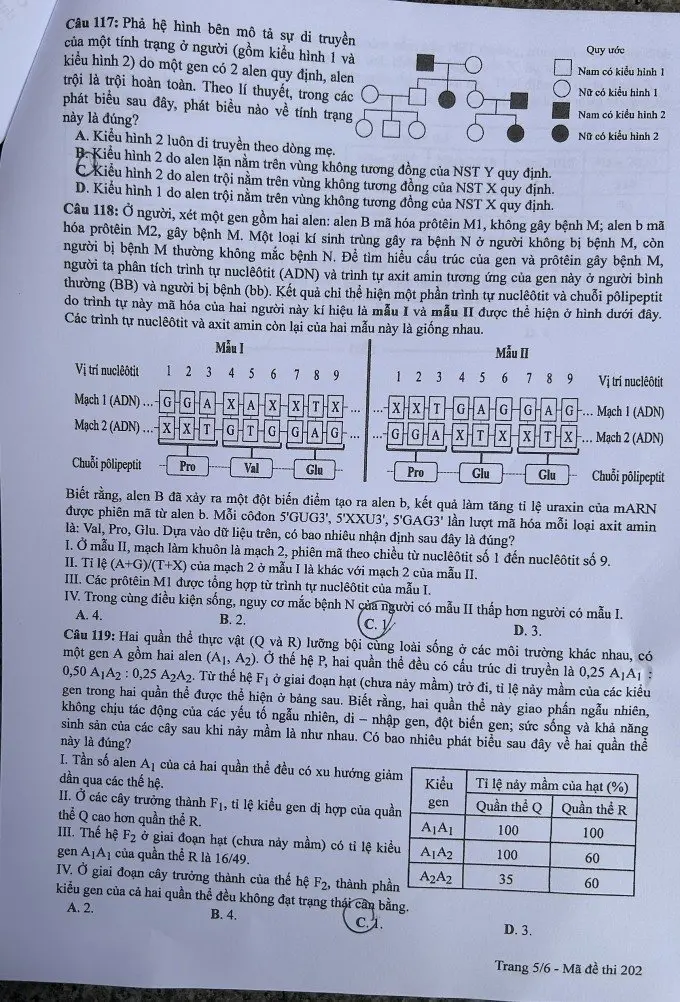 Đề thi THPT Quốc gia môn Sinh học năm 2024 mã đề 202 5