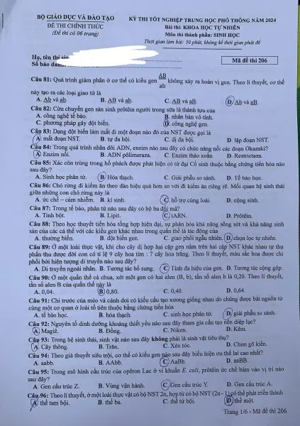 Đề thi THPT Quốc gia môn Sinh học năm 2024 mã đề 206 1