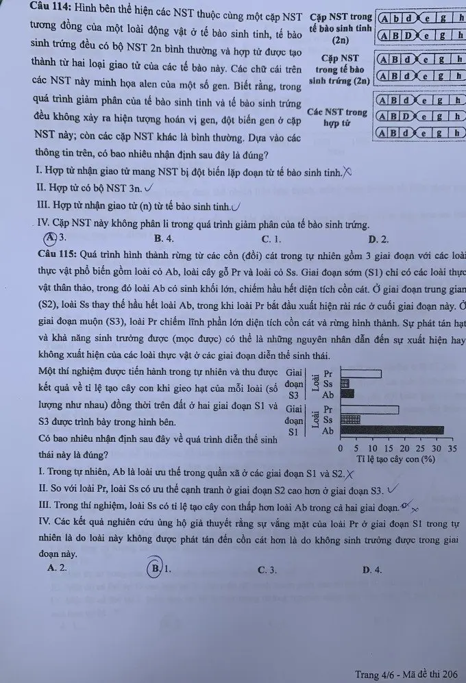 Đề thi THPT Quốc gia môn Sinh học năm 2024 mã đề 206 4