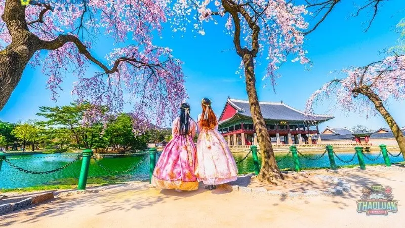 Ưu điểm của du học Hàn Quốc Ưu điểm của du học Hàn Quốc