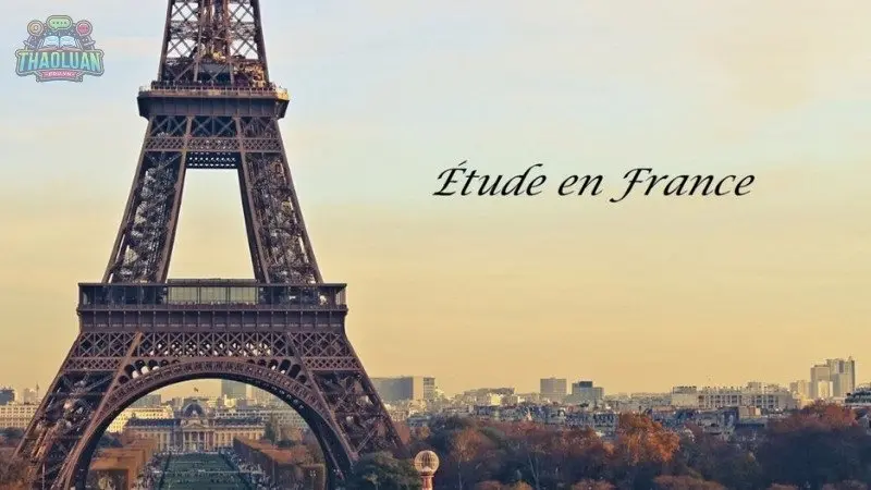 Các ngành học phổ biến tại Pháp Các ngành học phổ biến tại Pháp