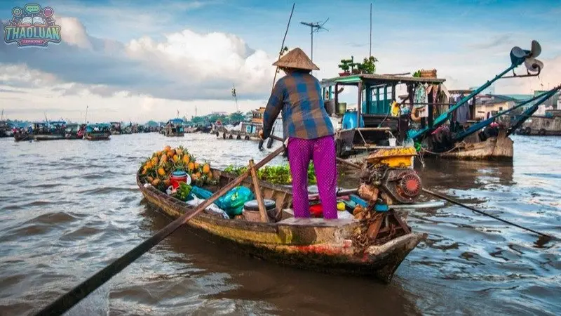 Phương tiện di chuyển đến Cần Thơ 