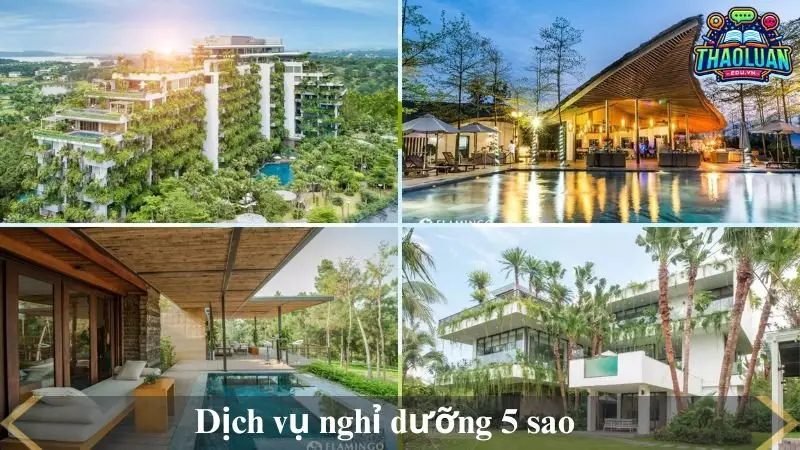 du-lich-flamingo-dai-lai-2 du-lich-flamingo-dai-lai-2