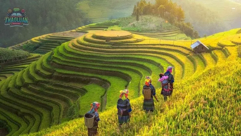 Trải nghiệm văn hoá du lịch miền Bắc 3