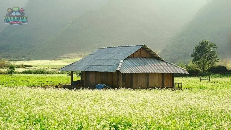 Chi phí cụ thể cho một chuyến du lịch miền Bắc 1