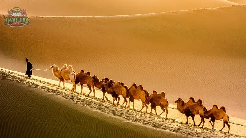 Những điểm đến nổi bật khi du lịch Mông Cổ 2