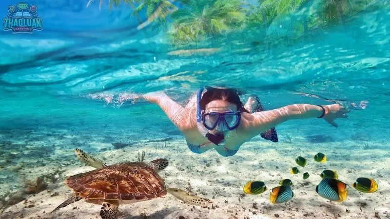 Các hoạt động giải trí và vui chơi tại Nha Trang 2