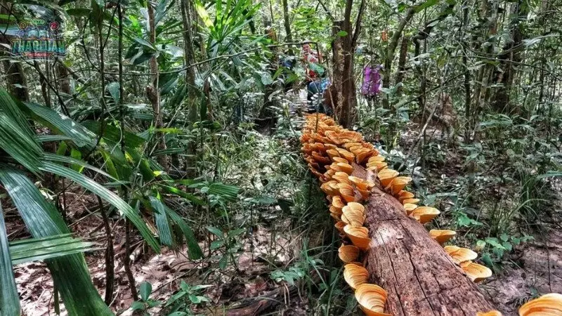 Các điểm du lịch nổi tiếng ở Tây Ninh 3