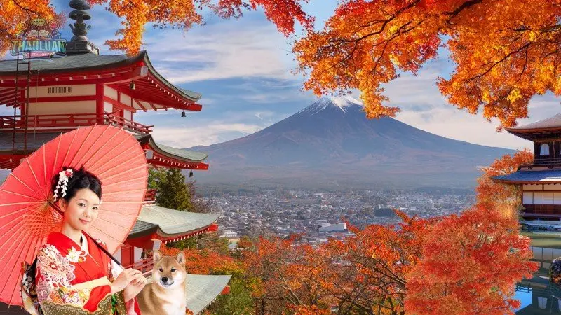 Yêu cầu và điều kiện ứng tuyển học bổng Nhật Bản Yêu cầu và điều kiện ứng tuyển học bổng Nhật Bản