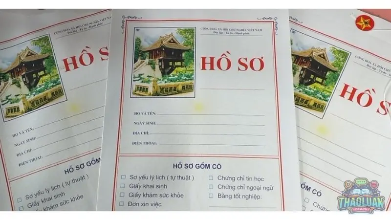 Tổng quan về hồ sơ xin việc