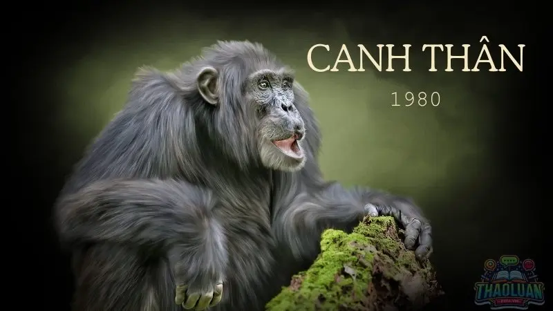 Bí kíp chọn hướng nhà may mắn, tài lộc cho gia chủ tuổi Canh Thìn 1980 