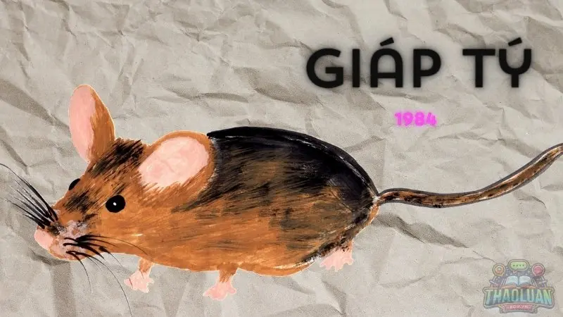 Chọn hướng nhà hợp mệnh cho gia chủ sinh năm 1984 