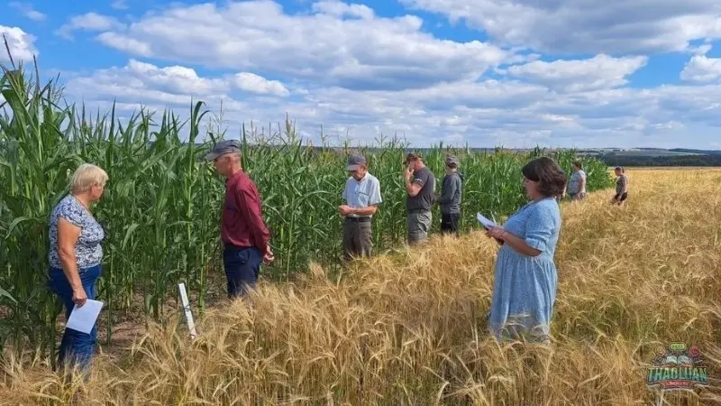 Hướng dẫn lựa chọn ngành nghề phù hợp để khởi nghiệp ở nông thôn Hướng dẫn lựa chọn ngành nghề phù hợp để khởi nghiệp ở nông thôn