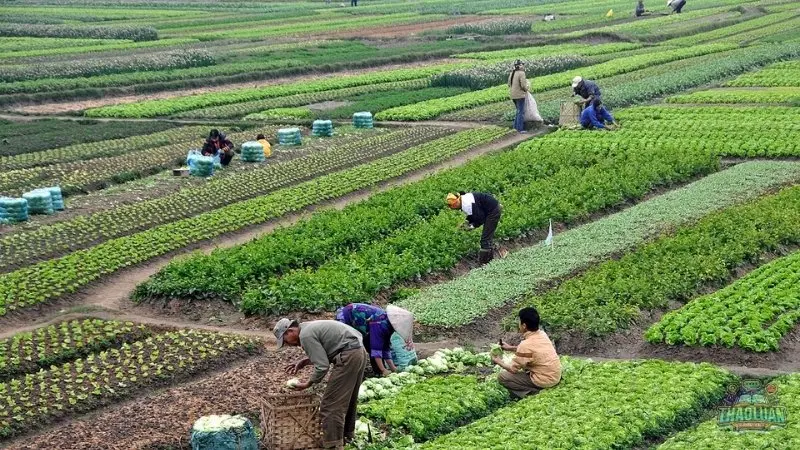 Thách thức khi khởi nghiệp ở nông thôn Thách thức khi khởi nghiệp ở nông thôn