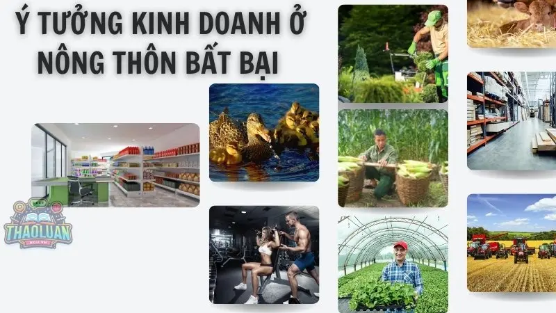 Top những ý tưởng kinh doanh ở nông thôn bất bại Top những ý tưởng kinh doanh ở nông thôn bất bại