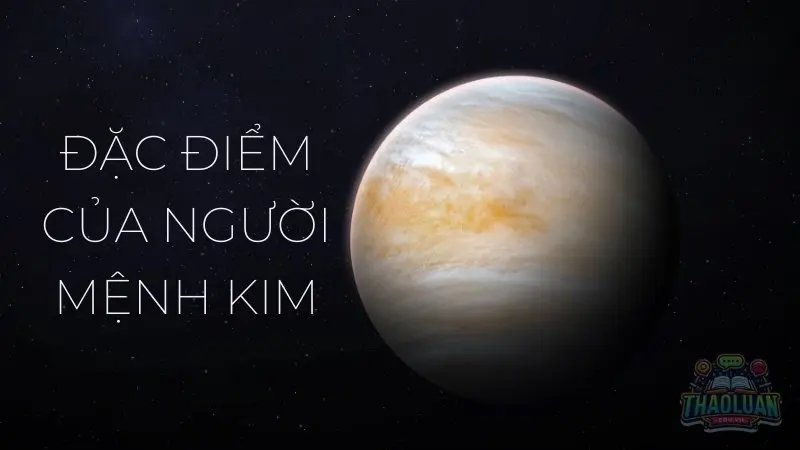 Cây phong thủy cho mệnh Kim - Thu hút vượng khí, thành đạt Cây phong thủy cho mệnh Kim - Thu hút vượng khí, thành đạt